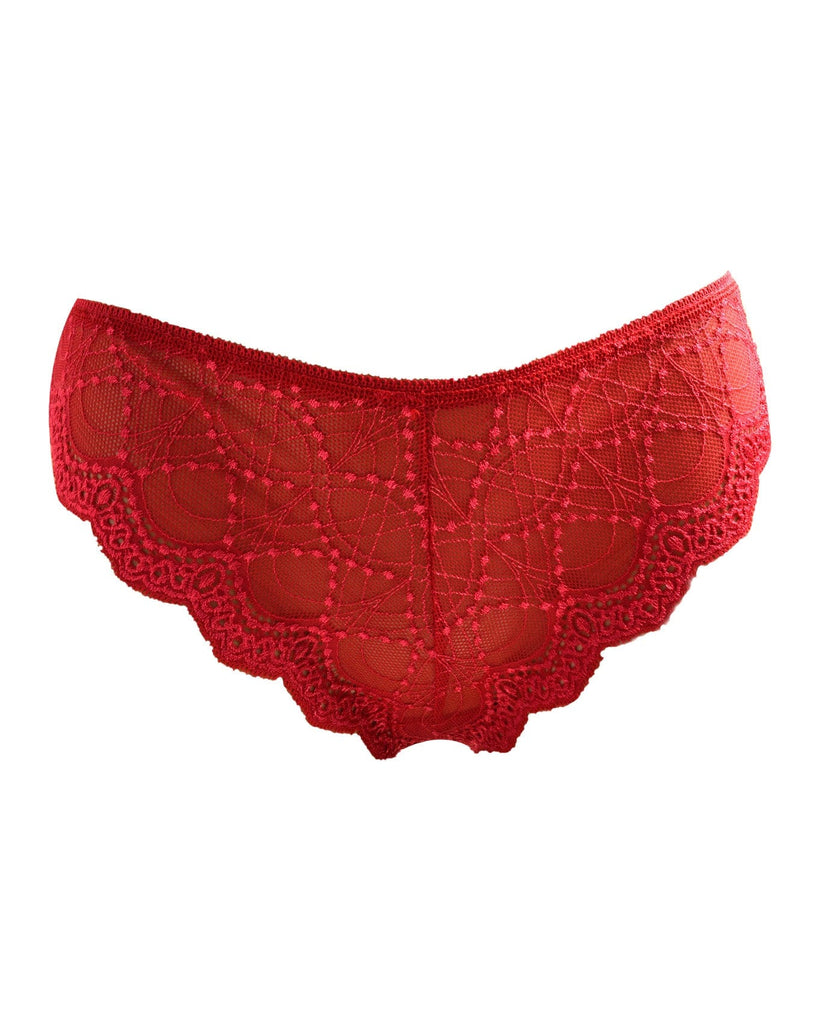 Dollars Red Lacy Underwear Isolated On Stock Photo 47581645