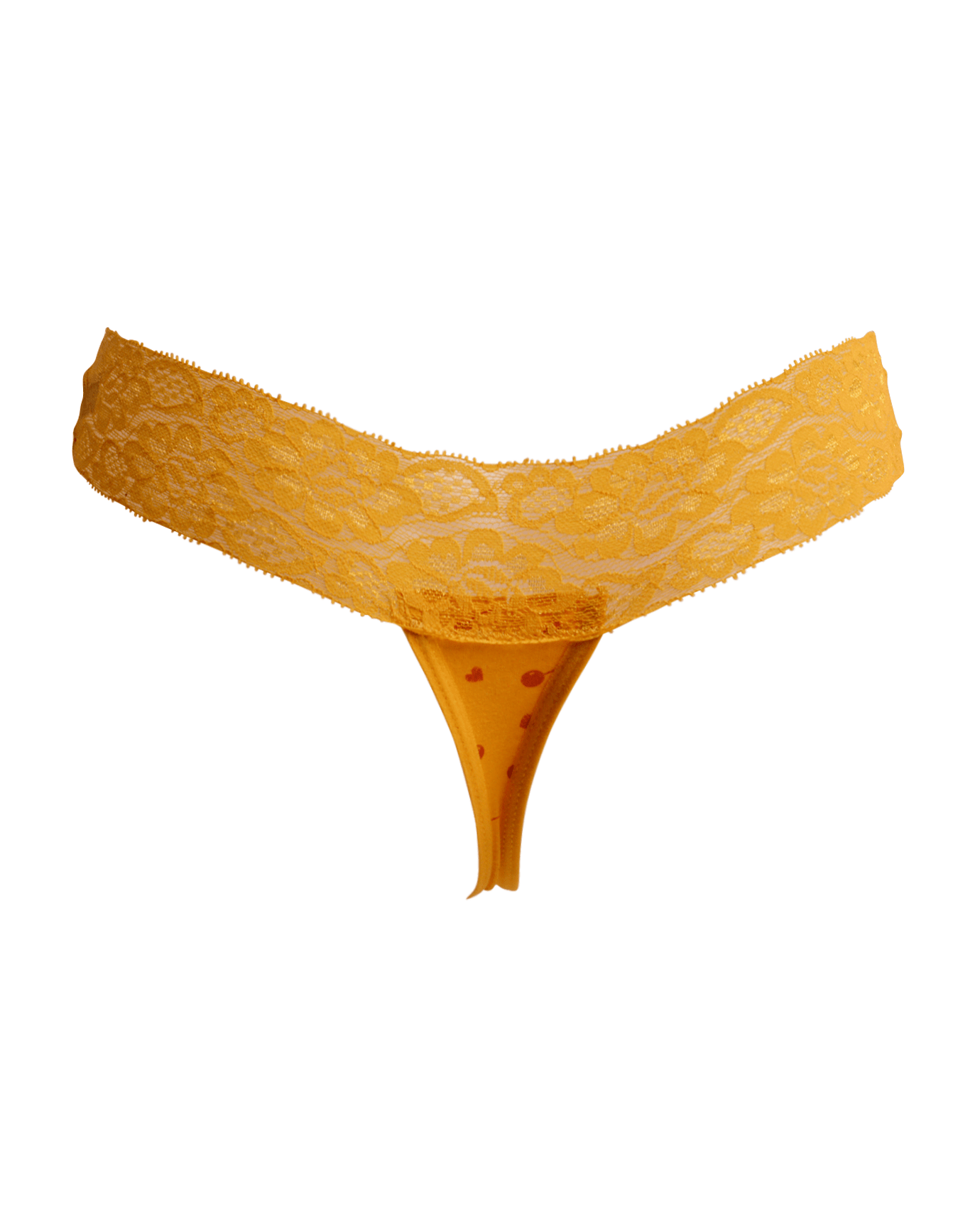 Vision Love Lace Panty – CHERRIE